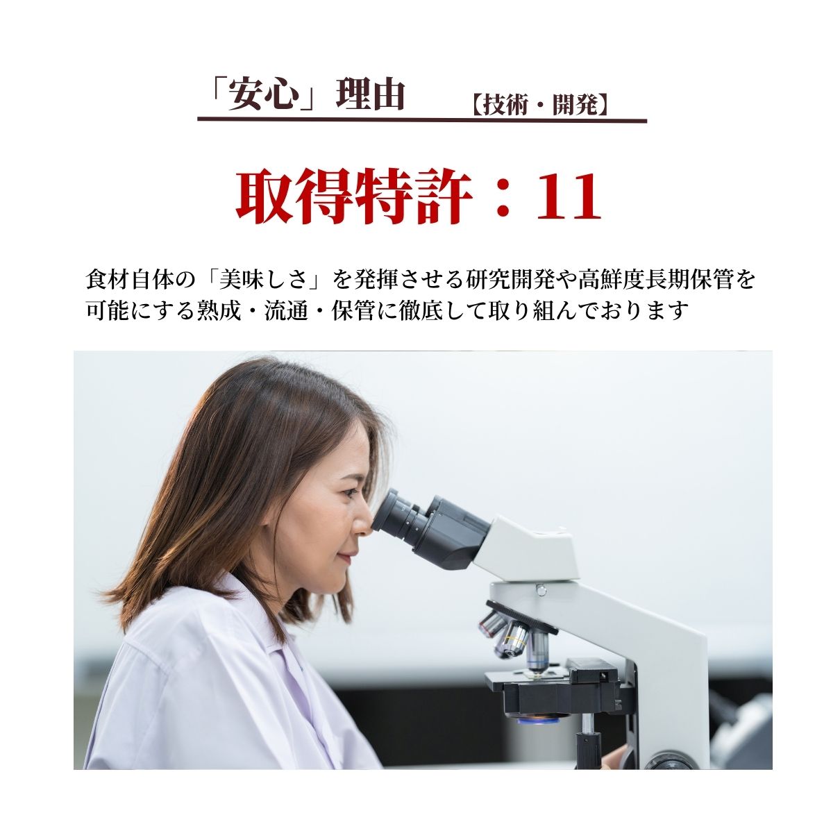 玄品 特許製法 焼きひれ（福日麗 ふぐひれ）3個セット