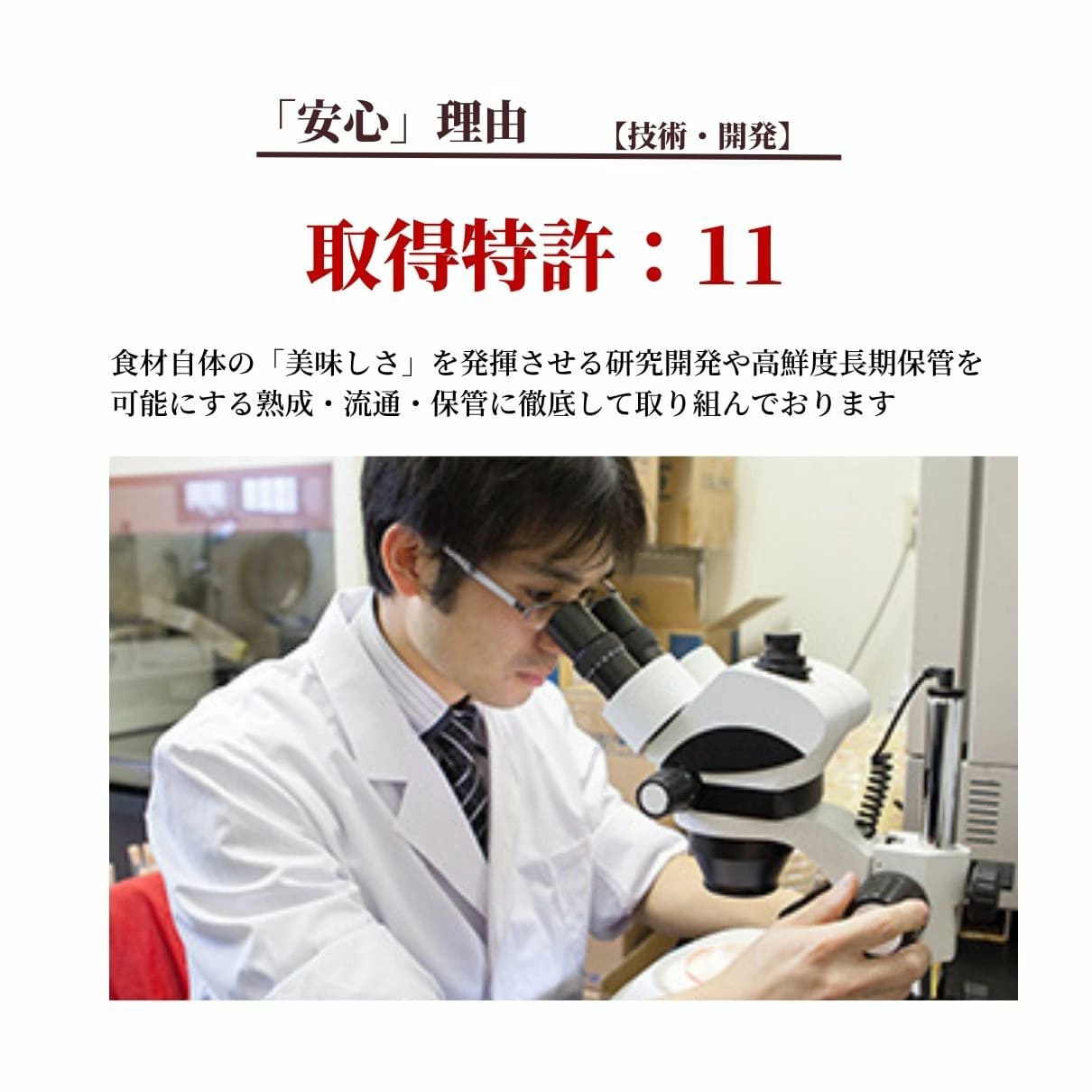 大人気 とらふぐ雑炊 フリーズドライ 6個入り