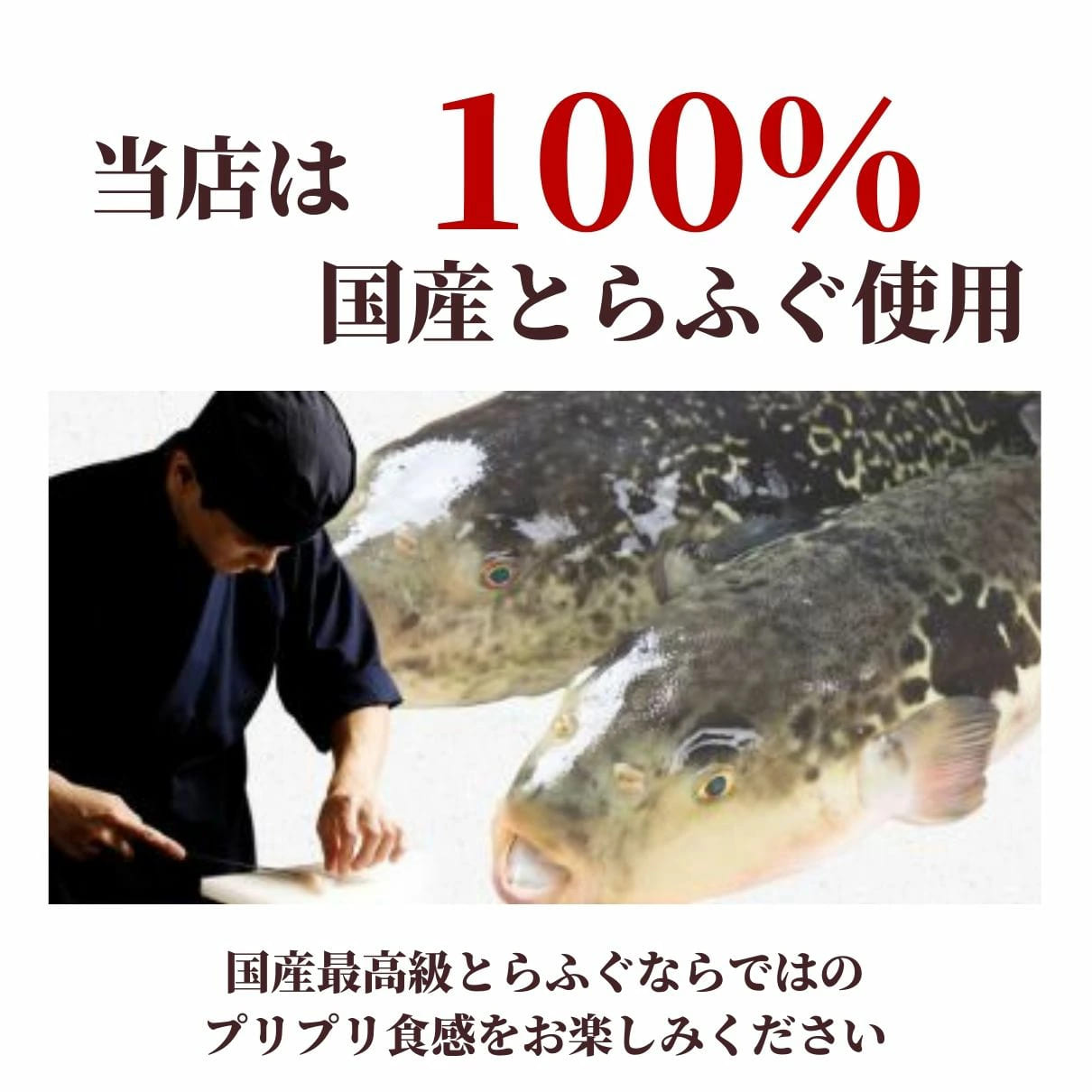 大人気 とらふぐ雑炊 フリーズドライ 6個入り