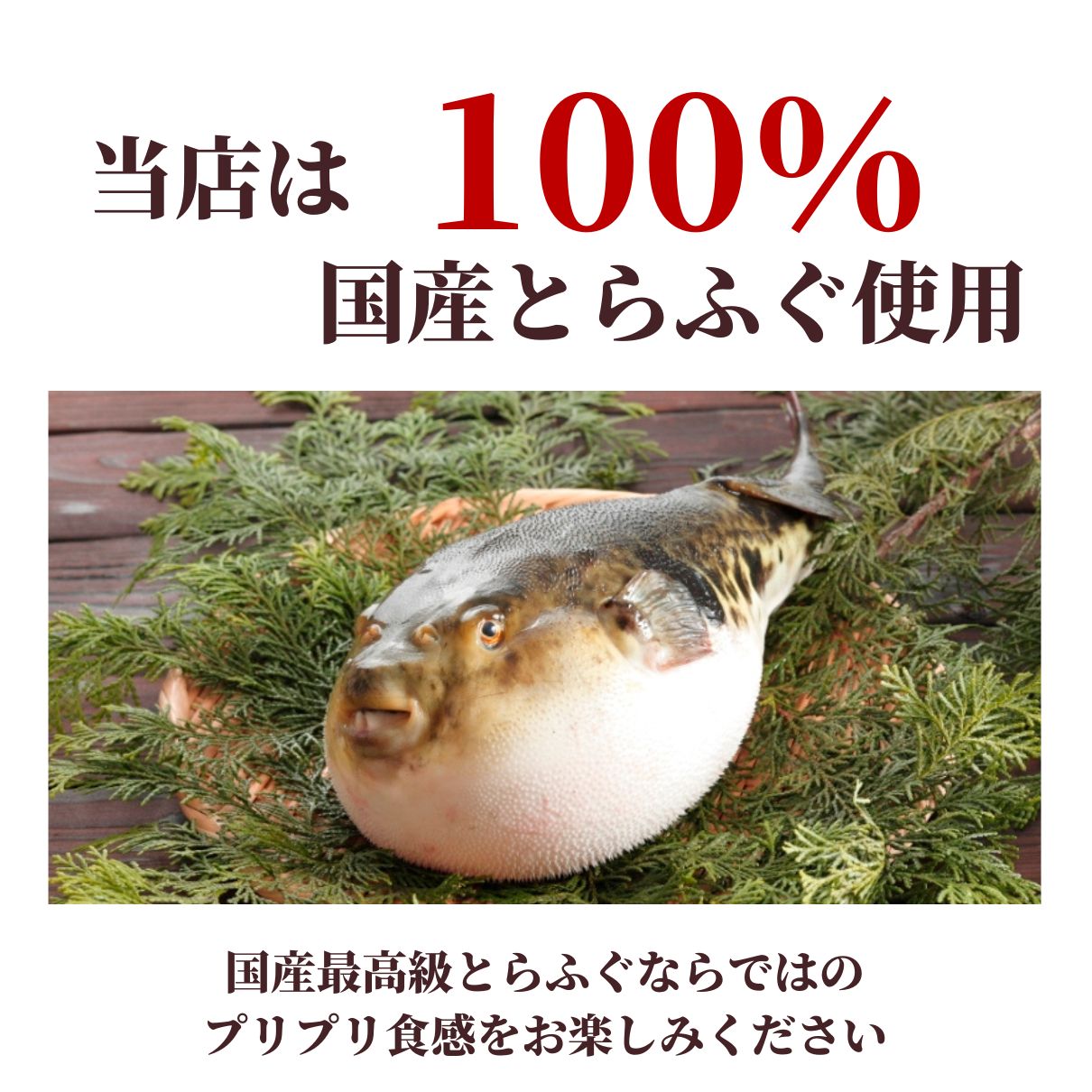 玄品ギフト 国産とらふぐ鶴盛りてっさ(ふぐ刺し)