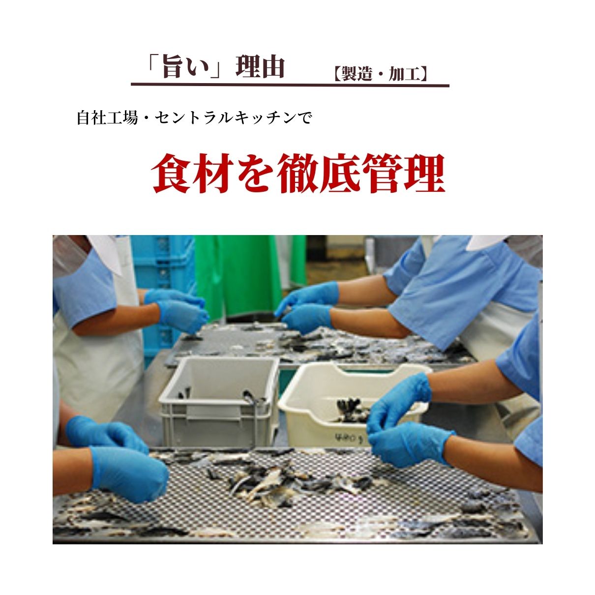 玄品ギフト 福楽節度 4～5人前