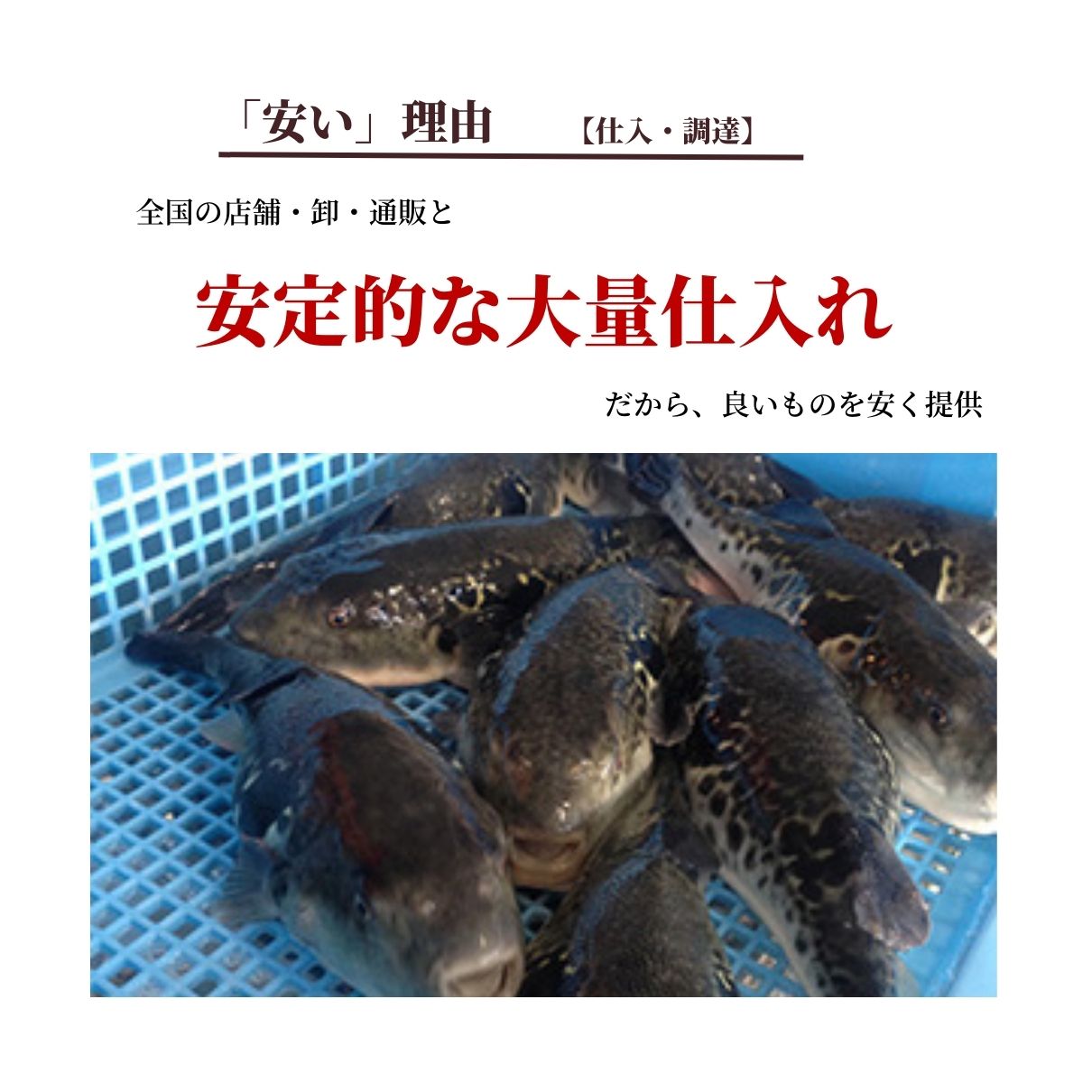 玄品 鰻玄の玄鰻（げんまん）セット  国産うなぎ蒲焼＆国産とらふぐ刺身（てっさ）
