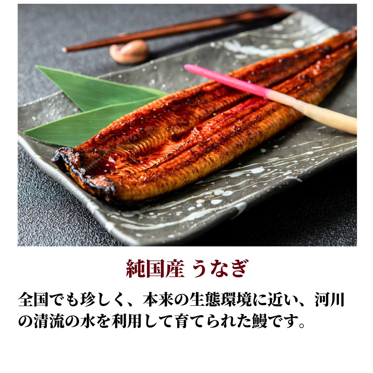 玄品 鰻玄の玄鰻（げんまん）セット  国産うなぎ蒲焼＆国産とらふぐ刺身（てっさ）
