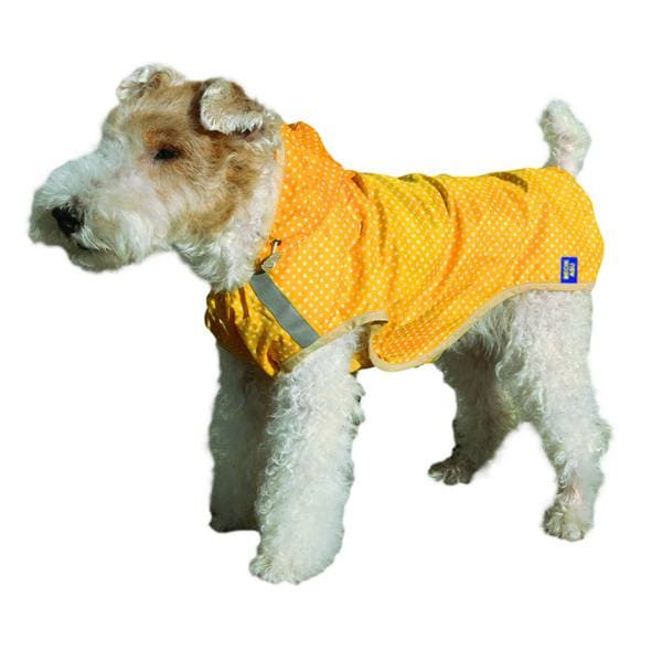 BAポルガドットレインコート