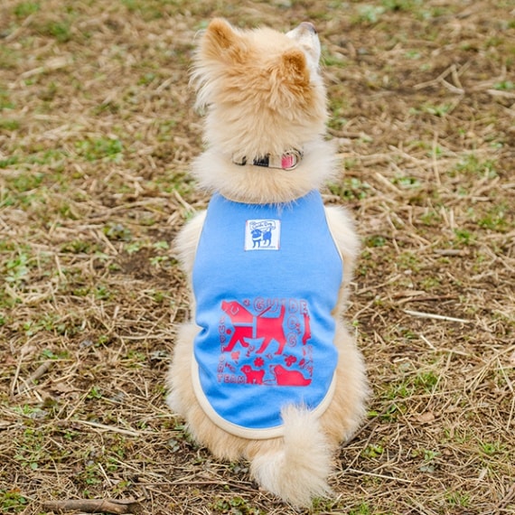 【在庫限り】盲導犬サポートDog T