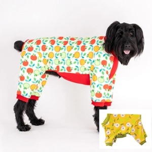 裏起毛プリントロンパース