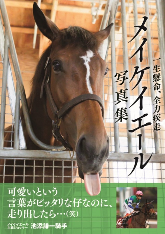 PSA10　河原みのり　SEC　ポイトレウォーク　プロライター　サイン PSA10 河原みのり SEC ポイトレウォーク プロライター サイン