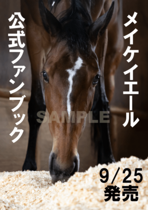 メイケイエール公式ファンブック