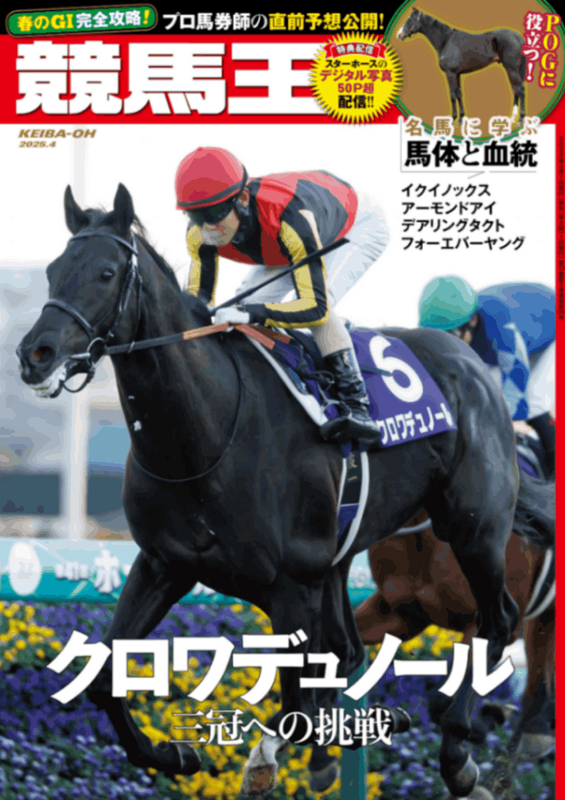 競馬攻略本　24冊＋α ギャンブル：HonyaClub.com JRE MALL店 | JR東日本が運営【JRE