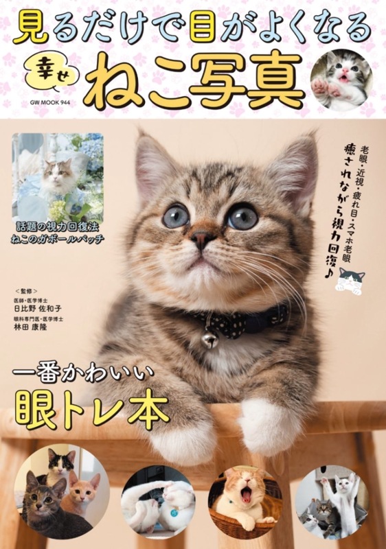 見るだけで目がよくなる幸せねこ写真