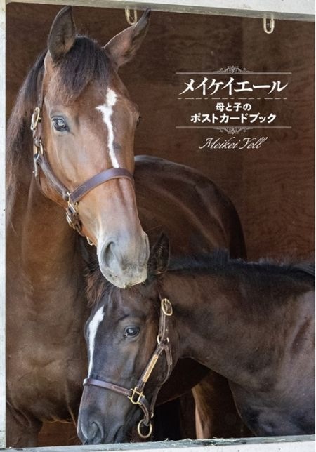 【通常＆限定版/1.23発売】メイケイエール 母と子のポストカードブック