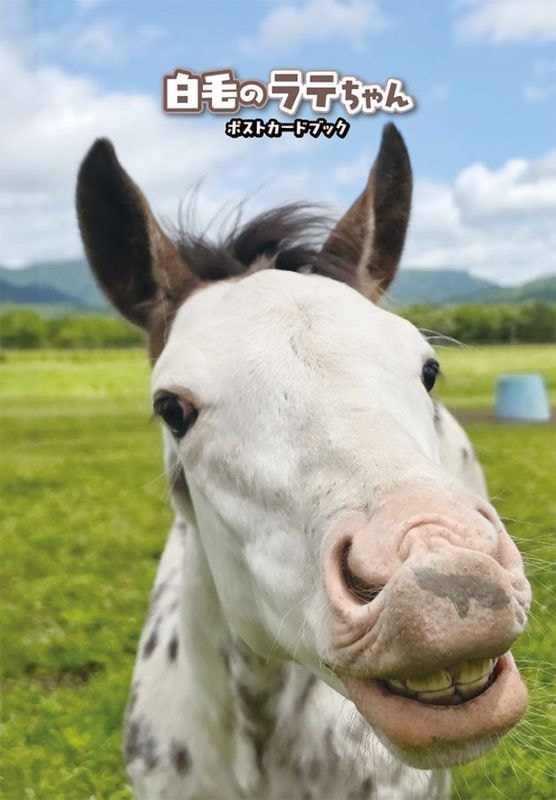 競馬王｜ガイドワークスオンラインショップ