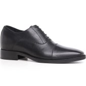 ジェノバ【在庫】