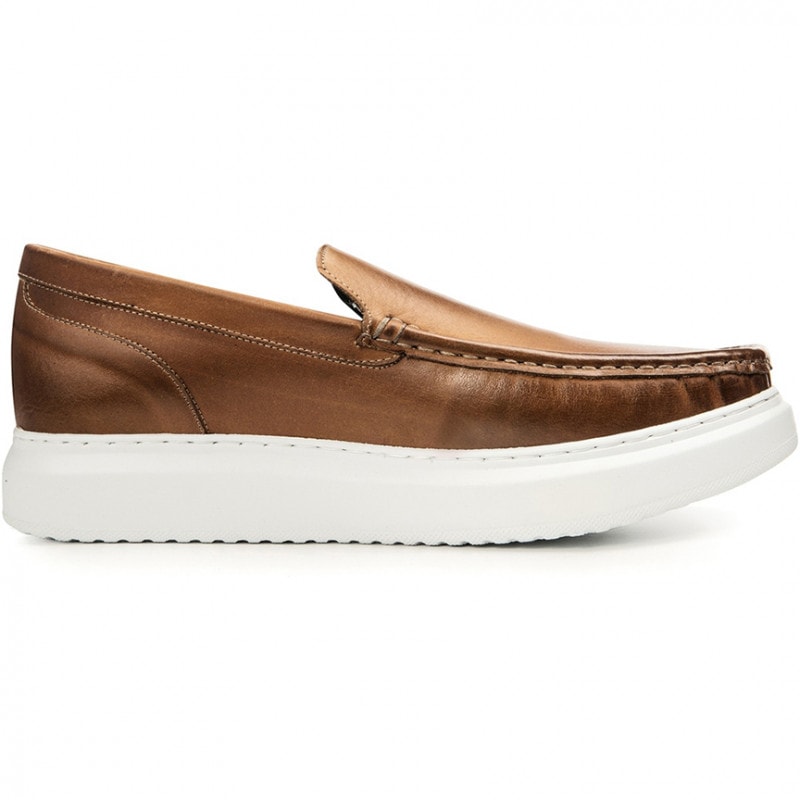 フェレ【在庫】