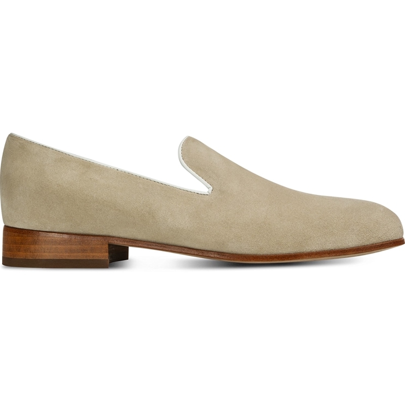 ミオゾーティス