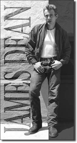 希少】James Dean 羊革 ジェームスディーン ヴィンテージ（希少
