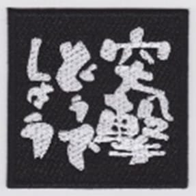 IXA EMB 突撃どうでしょう パッチ IE-MP314
