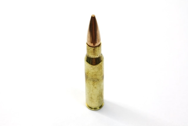 ホクト ダミーカート 308Win