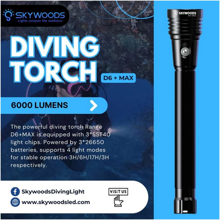 D6+ MAX Diving Flash Light