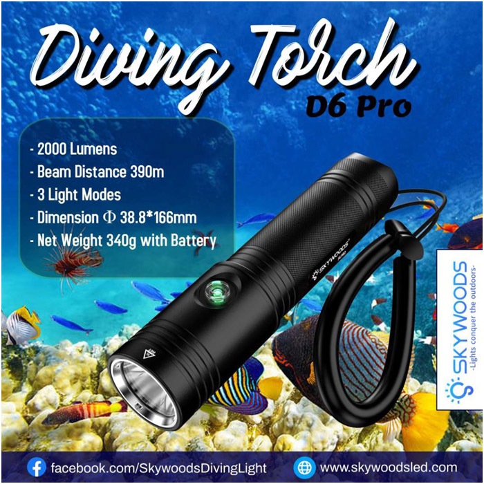 D6 Pro Diving Flash Light