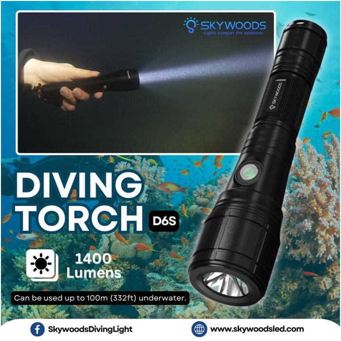 D6S Diving Flash Light