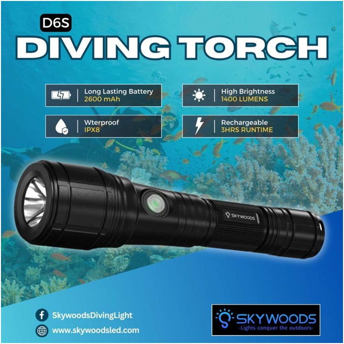 D6S Diving Flash Light