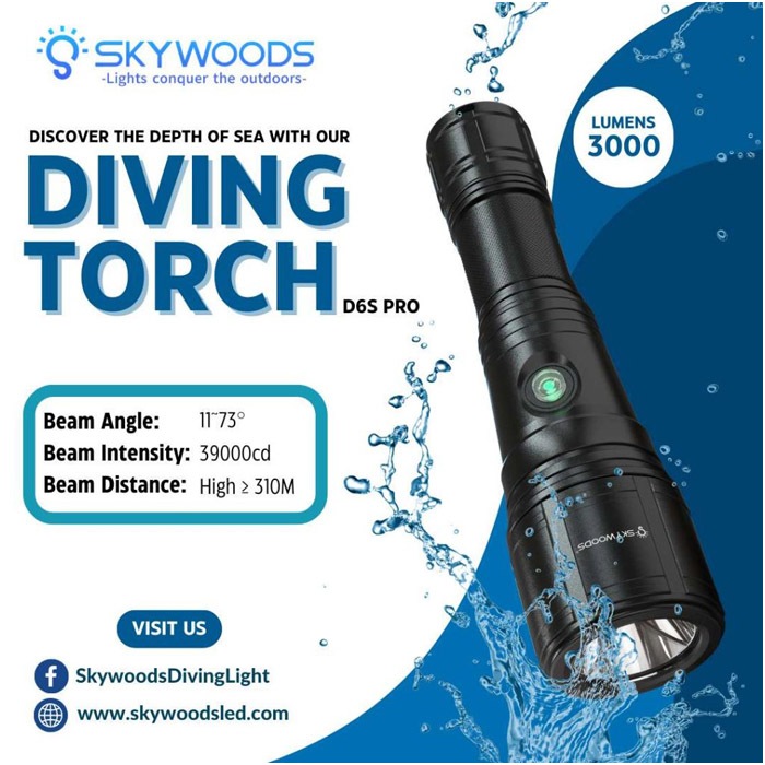 D6S Pro Diving Flash Light