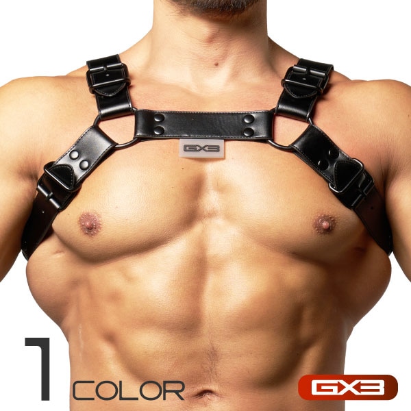 GX3 ICON ブラック ハーネス