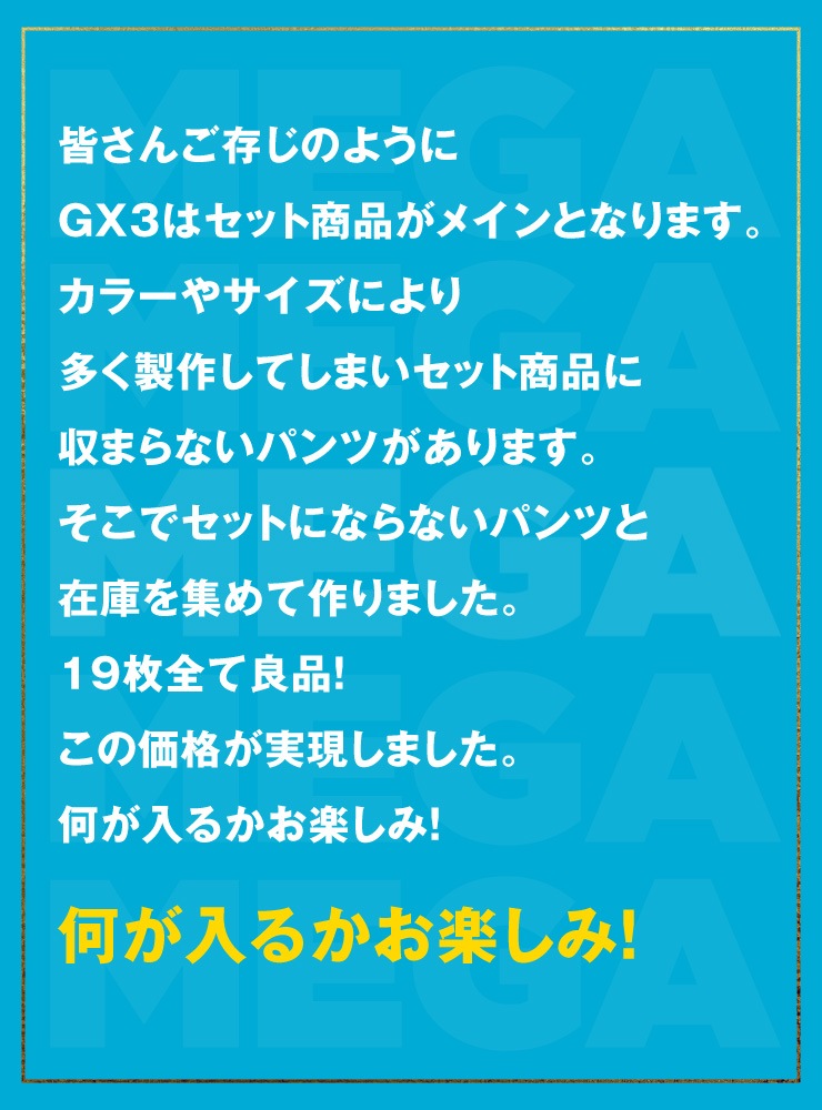 ̵GX3 MEGAʡ(ѥ19Хåդ)