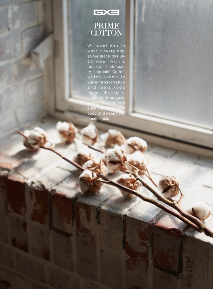 WEAR-PRIME COTTON- ���󥯥ȥå�