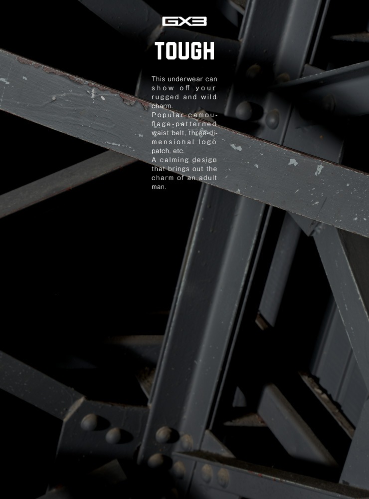 GX3/�����Х����꡼ WEAR-TOUGH- �롼�०����