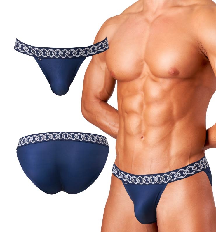 JAPONESQUE �� �ޥ������ӥ���