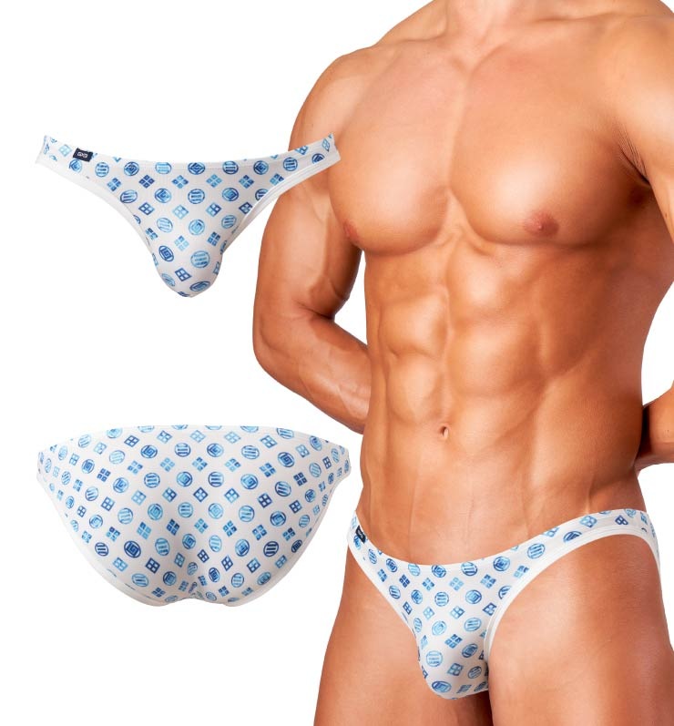 JAPONESQUE �� V�ӥ���