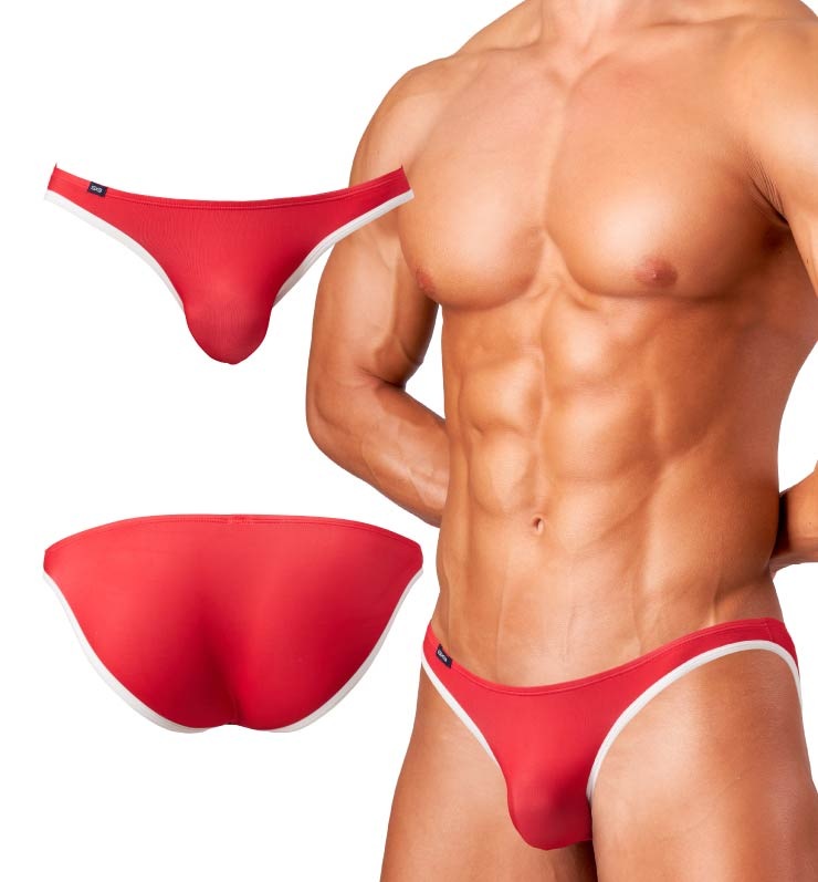 JAPONESQUE �� V�ӥ���