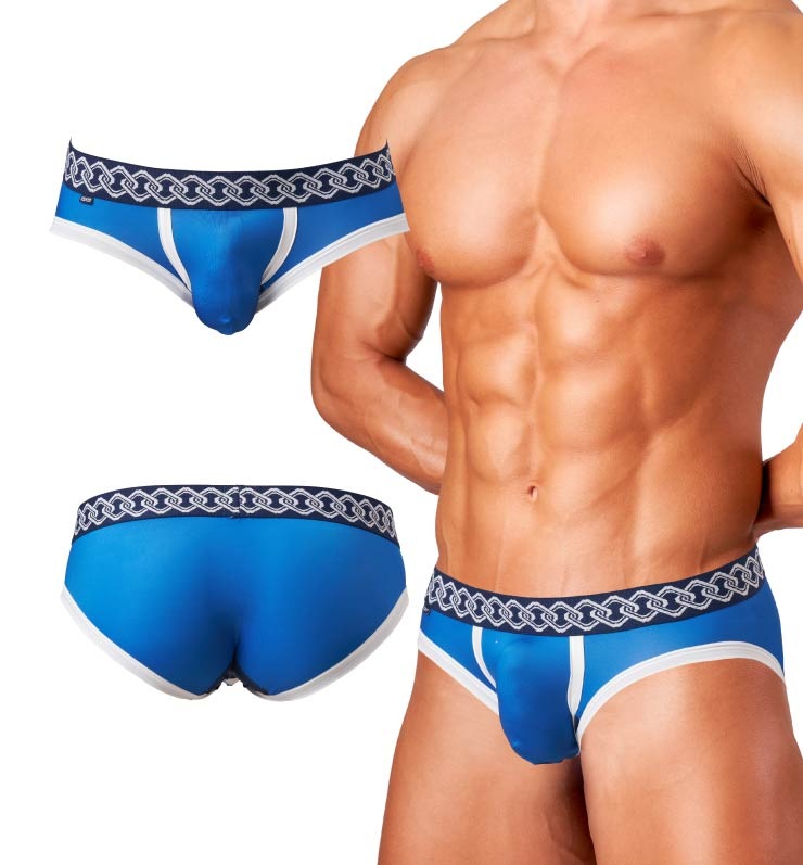 JAPONESQUE �� �֥꡼�եѥ��