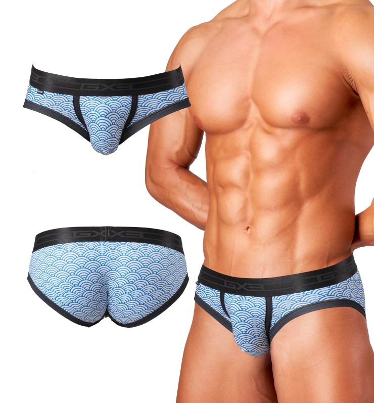 JAPONESQUE �� �֥꡼�եѥ��