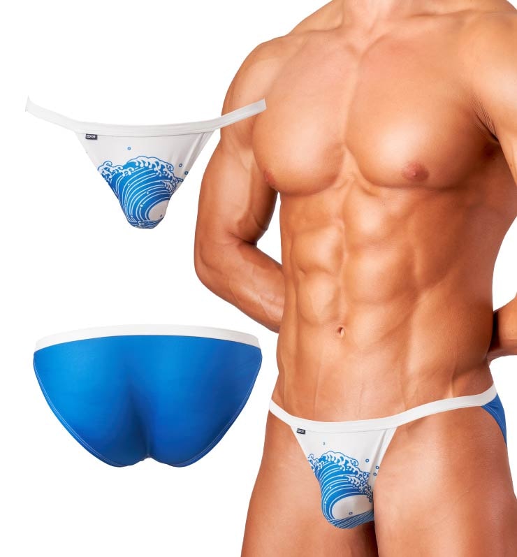 JAPONESQUE �� �ޥ������ӥ���