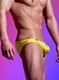 SHINE PLUS �³����ꥮ��ӥ���