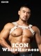GX3 ICON ۥ磻 ϡͥ