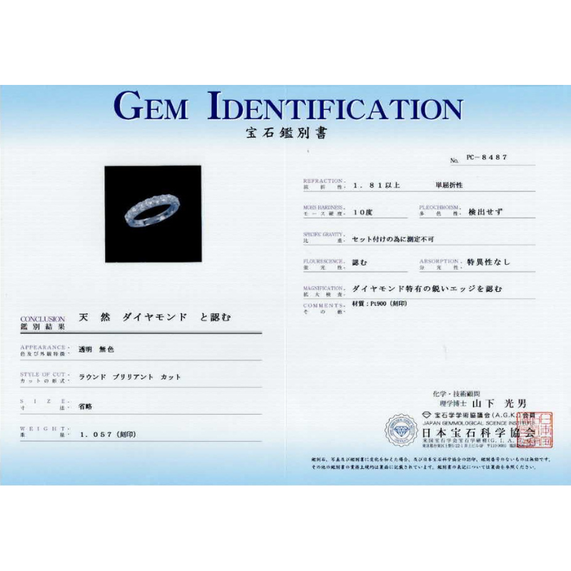 206.PT ハーフエタニティリング 【1.057ct】（鑑別書付き)