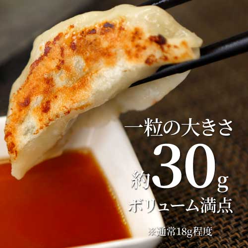 入荷次第の発送）音更ラワンブキ餃子 | 音更ぎょうざの宝永公式通販サイト