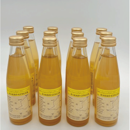 ڥ˥ȯڥ󥸥㡼12ܡͽ