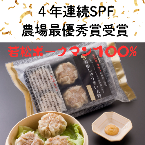 �ⶶ�ܻ���ǯϢ³ SPF�����������Ӻ�ͥ���޼��ޥ��å�