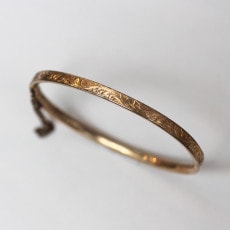 ɥץ졼ȡʪ͡ĦꡡХ󥰥