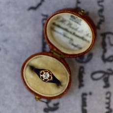 ��������������֥롼���ʥ�롡��������ɡ�����ƥ������