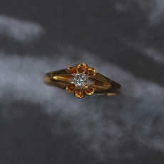 ����ƥ��� ��������� �٥���㡼 ���