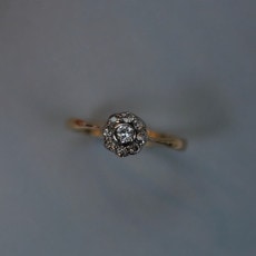 ����ƥ����� ��������� �ǥ����� ���