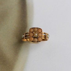 ����ƥ�����  ���󥸥��륹���� ������� ���