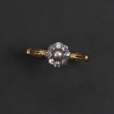 �١����奫�顼 �ѡ��� & ��������� ���饹�������