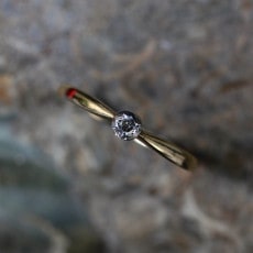 �������ȥꥢ ��γ ��������� ���